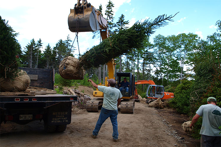 Shape and Installation with Back Meadow Farm