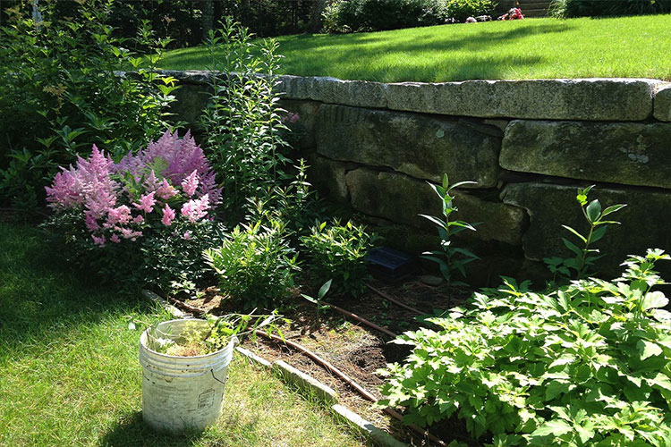 Maintenance with Back Meadow Farm